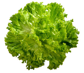Obraz premium Cespo di insalata