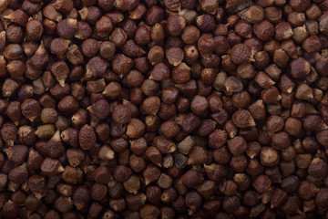 Grains of paradise background