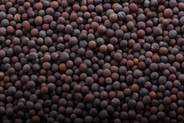 black mustard seeds background