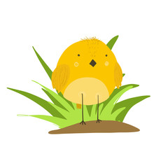 Cute cartoon yellow chicken in grass illustration. Childish orange vector bird for kids print design, spring Easter decoration, label