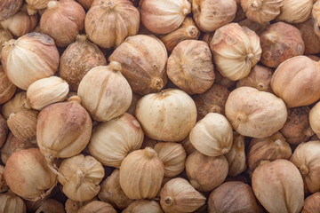 white cardamom pods background