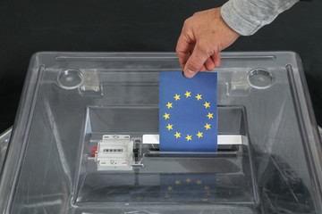 Ballot for the elections