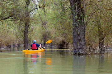 Man in yellow kayak among flooded trees. Kayaking in wilderness areas at Danube river among flooded trees at spring high water on Danube biosphere reserve. Back view