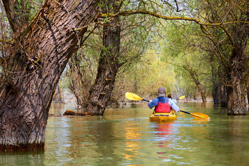 Man in yellow kayak among flooded trees. Kayaking in wilderness areas at Danube river among flooded trees at spring high water on Danube biosphere reserve. Back view