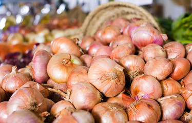  bulb onion on market counter