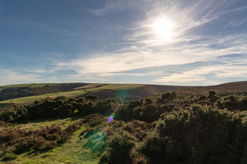 Landscape in the Exmoor National Park on Porlock Hill, Somerset, England, UK