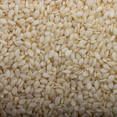 seeds of white sesame background