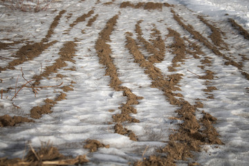 Earth and snow. Dry grass. Earth background. Grunge earth.