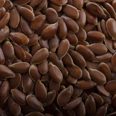seeds of flax background