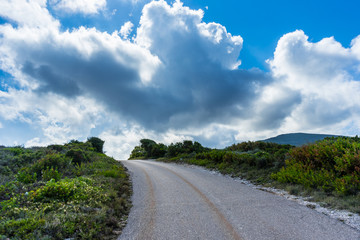 Greece, Zakynthos, Curved road through green nature landscape