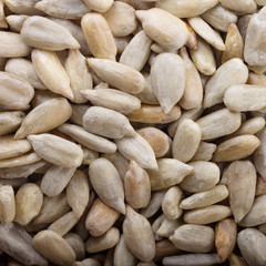 shelled seeds of sunflower background