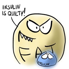 Fat and insulin