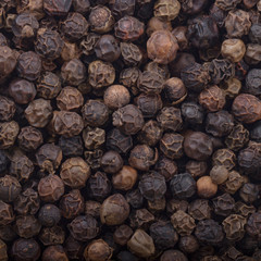 black peppercorn background