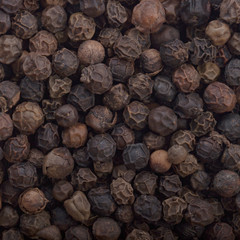 black peppercorn background