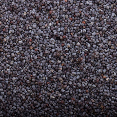 seeds of poppy background