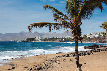 Puerto del Carmen beach in Lanzarote, Canary islands, Spain. blue sea, palm trees, selective focus
