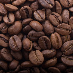 coffee beans background