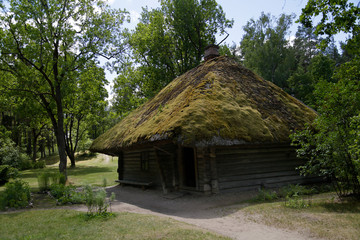 Fototapeta na wymiar Traditional old wooden house with reed roof in Latvia