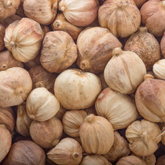 white cardamom pods background