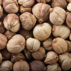 white cardamom pods background