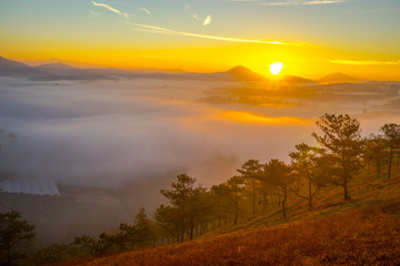 Fototapeta na wymiar The sun growing up in an early morning at Da Lat city, nice view from top of pine hill, Under the sun, the fog became like gold 