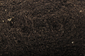 black ground background