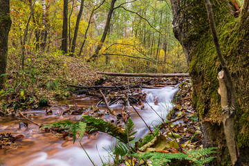 Schwindebach im Herbst