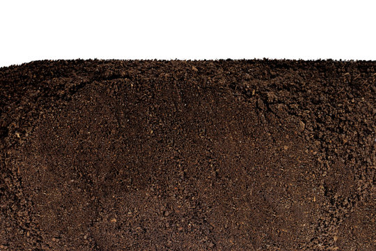 ground isolated on white background
