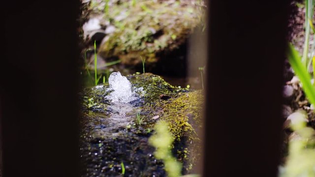 A small plant-lined pond, in the middle of which a small fountain gushes - Ein kleiner pflanzenums&auml;umter Teich, in dessen Mitte ein kleine Font&auml;ne sprudelt