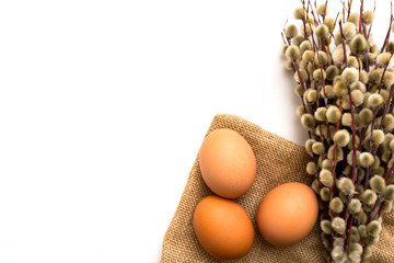 Eggs with willow on a white background (easter concept)