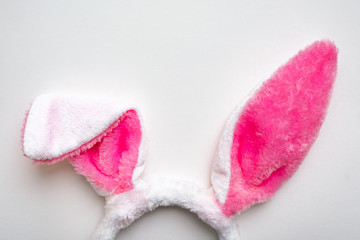 Bunny ears on a white background. Easter concept