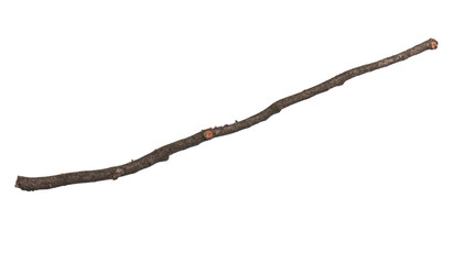 Single dry tree branch, isolated on white background. Stick tree branch from nature for design.