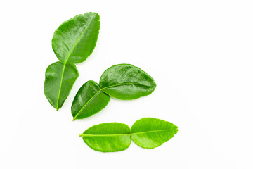 Kaffir lime leaves isolated on white background.