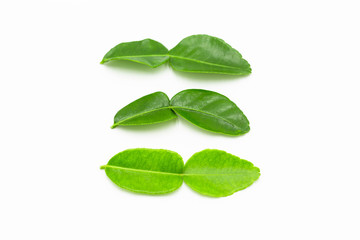 Kaffir lime leaves isolated on white background.