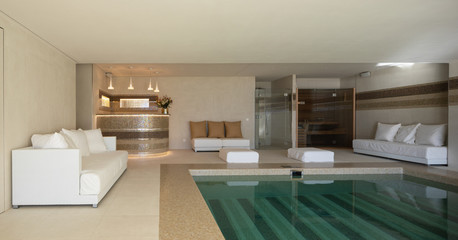 Indoor pool of private villa with lake view and bar area