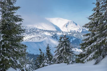 Fotobehang Beautiful winter landscape. Tops of mountains covered with snow and green firs at the foothills. © volff