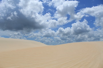Dunas