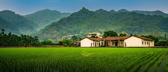 A traditional Hakka house just next to a rice paddy (Taiwan)