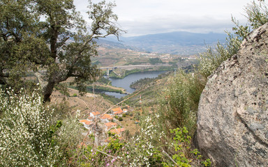 North of Portugal, Douro river