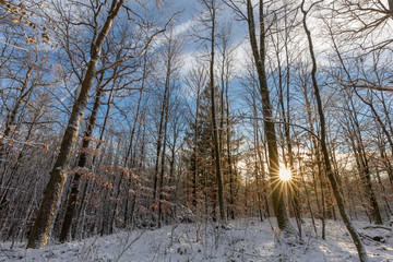 Wunderschöne Winterlandschaft mit Sonne im Gegenlicht