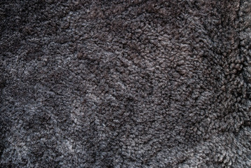 Fototapeta premium Natural animal fur background texture.
