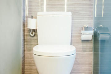 Beautiful luxury white toilet seat and bowl