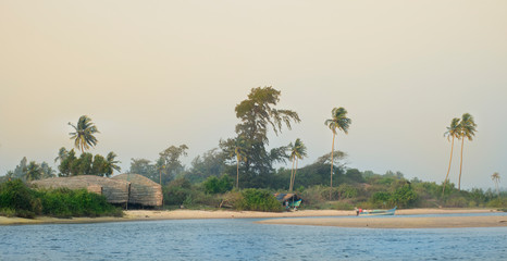 Fishing houses under palm trees.