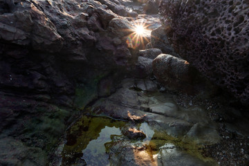 Reflection of the sun on a wet stone.
