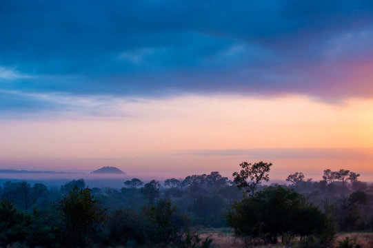 A landscape, dark trees and bushes in foreground, silhoutte of mountains with mist in the background, heavy grey clouds with sunset