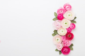 Beautiful colored ranunculus flowers on a white background. Spring greeting card.