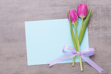 Fototapeta premium Spring greeting card, pink color tulips on the gray background.