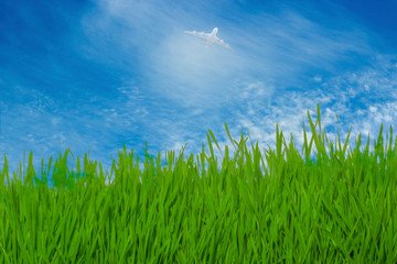airplane fly over green grass on blue sky with clouds