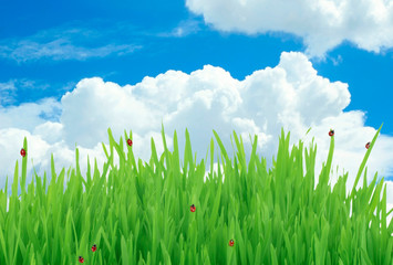 Obraz premium sky with clouds