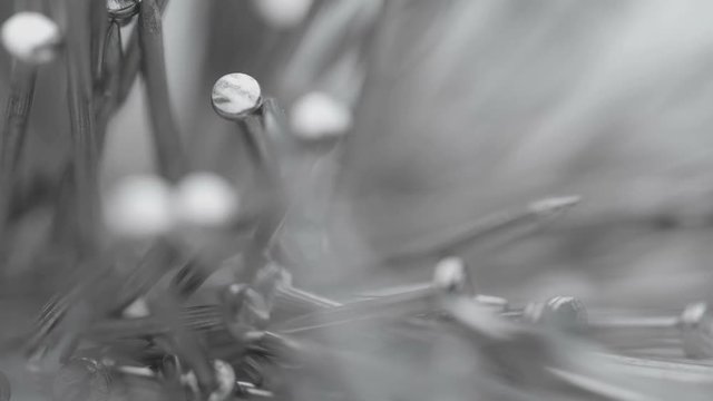 Metal nails under the influence of a magnetic field. Abstract background.